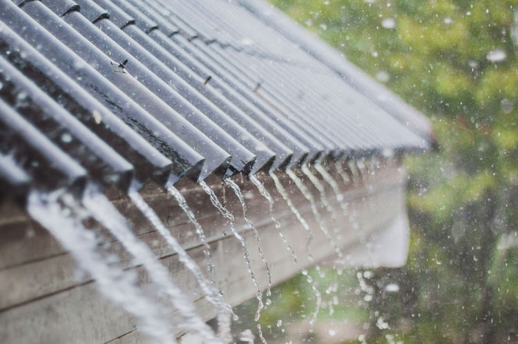 Rainy Roof